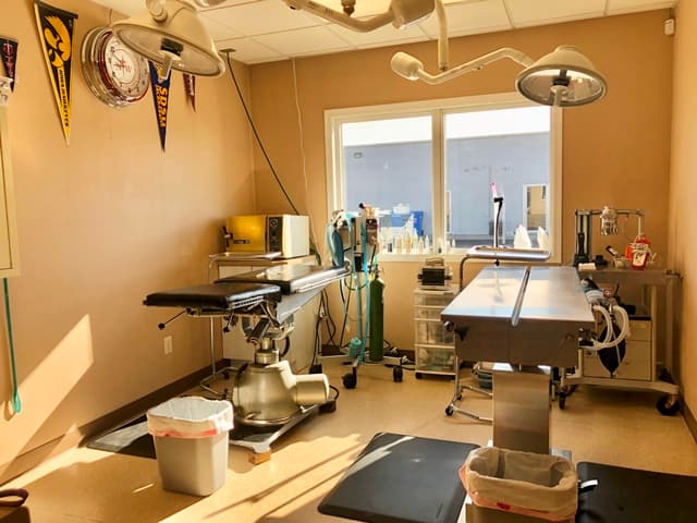 The surgery suite