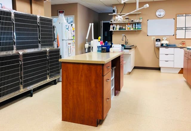 The treatment area