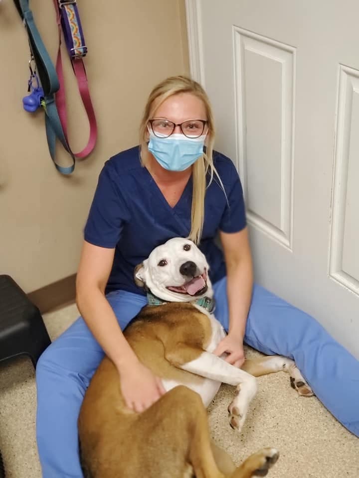 A staff member sits on the exam room floor with a happy pit-mix on her lap