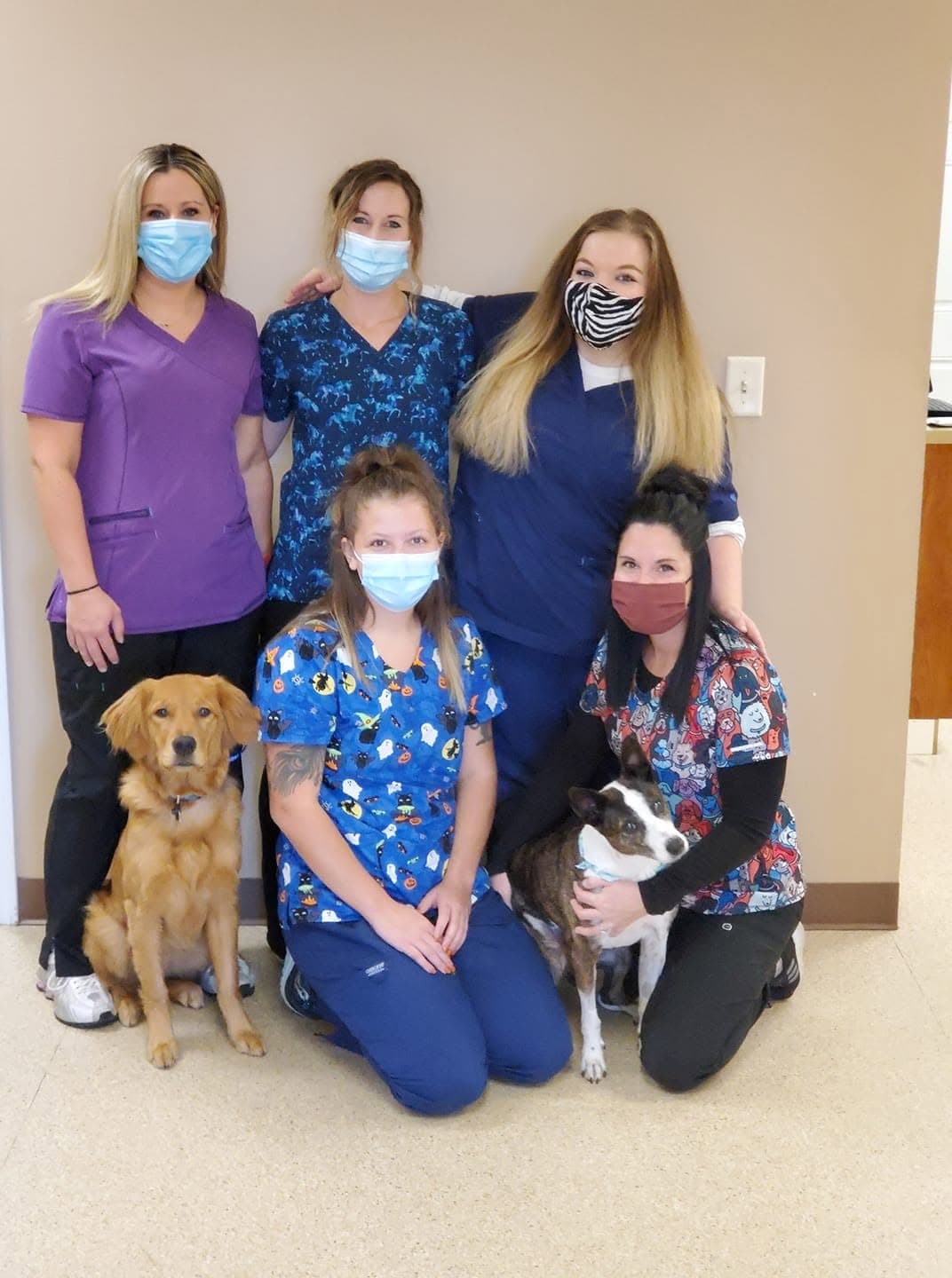 The Tea Vet team with two of their four-legged regulars