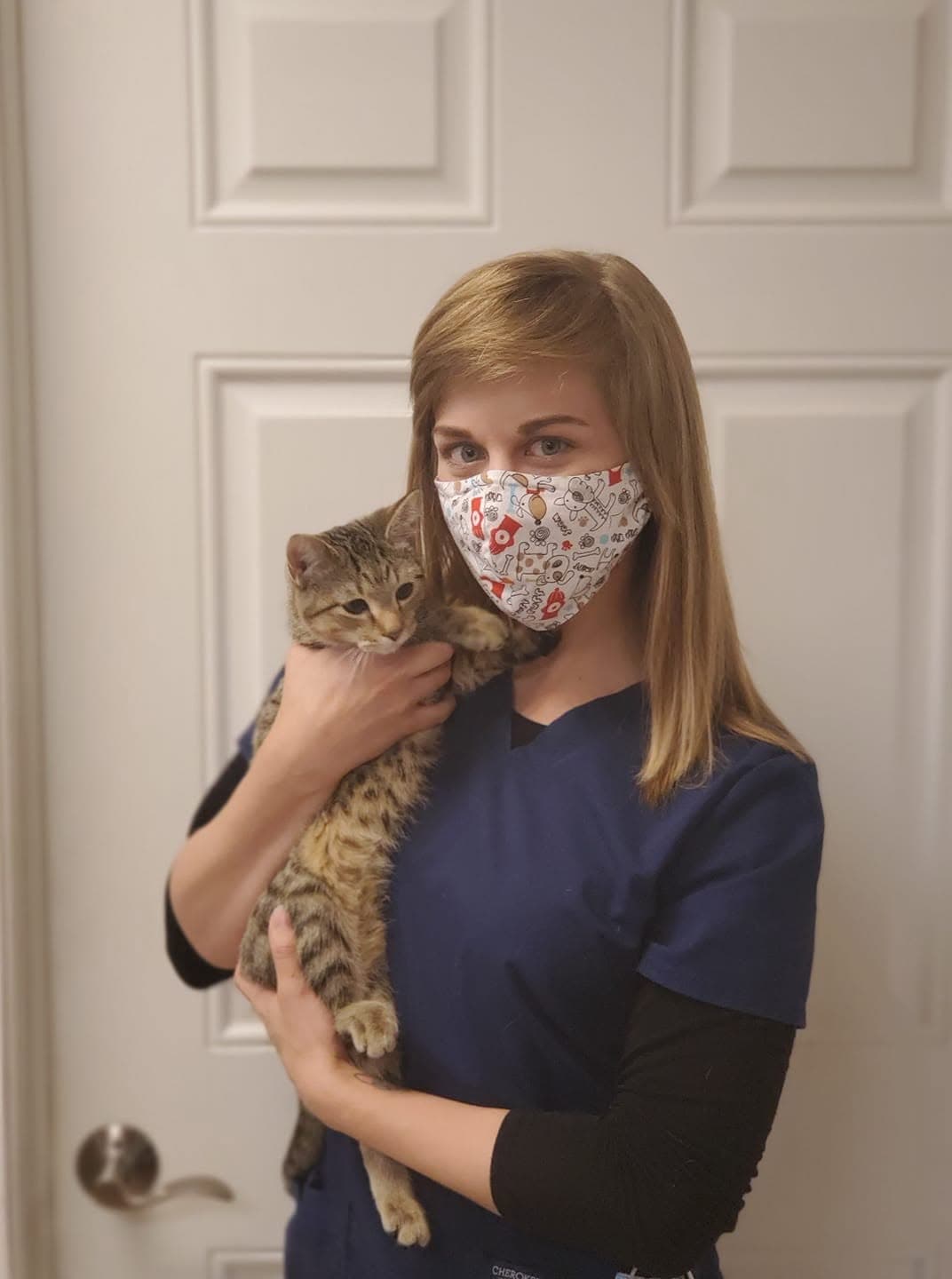 A staff member cradles a brown tabby cat
