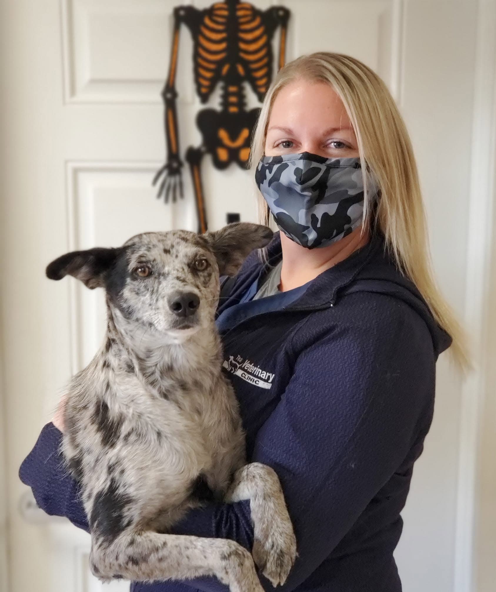 Speckled cattle-dog mix in the arms of a Tea Vet staff member
