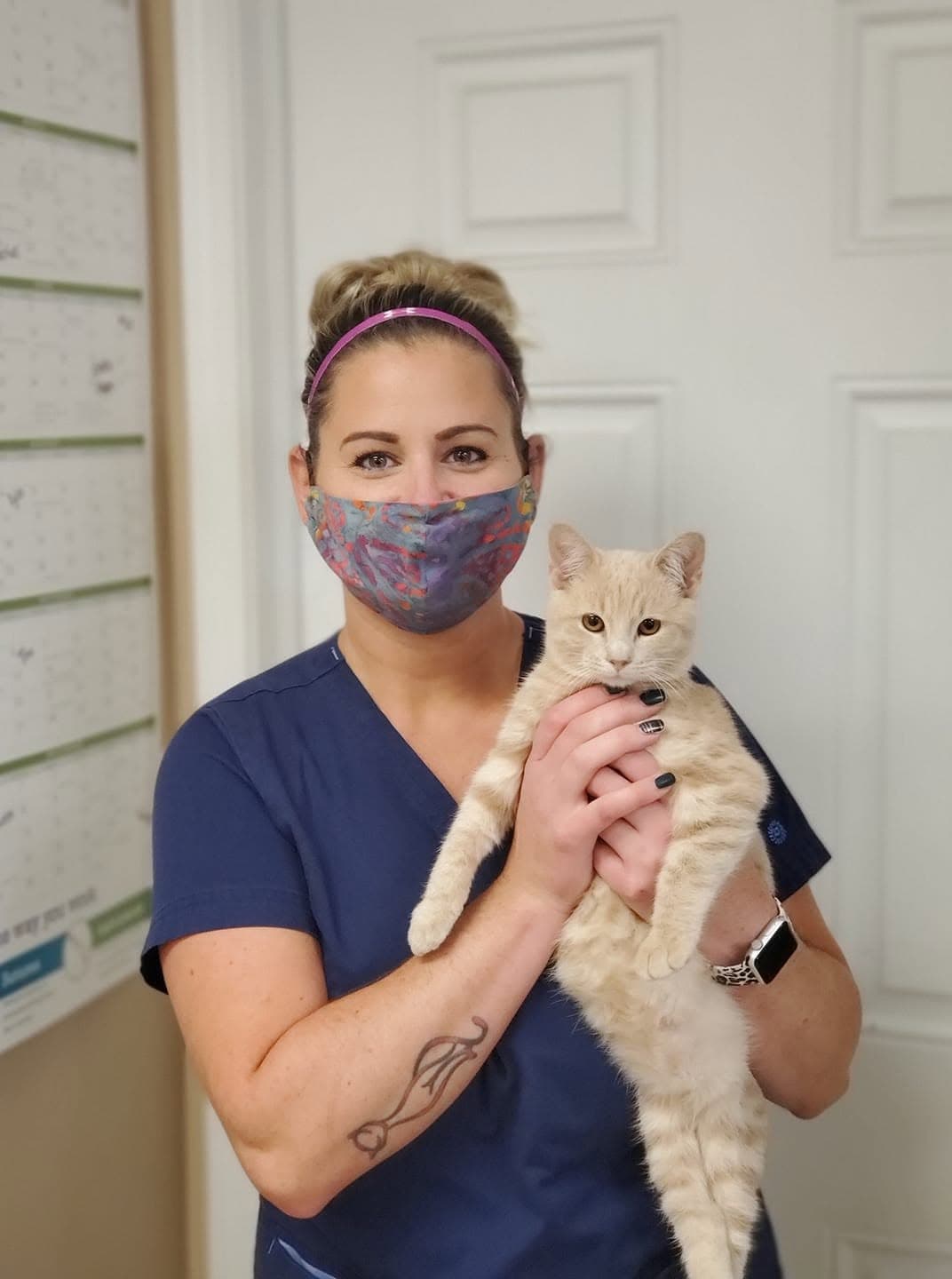 A staff member holds a buff tabby cat in the exam room