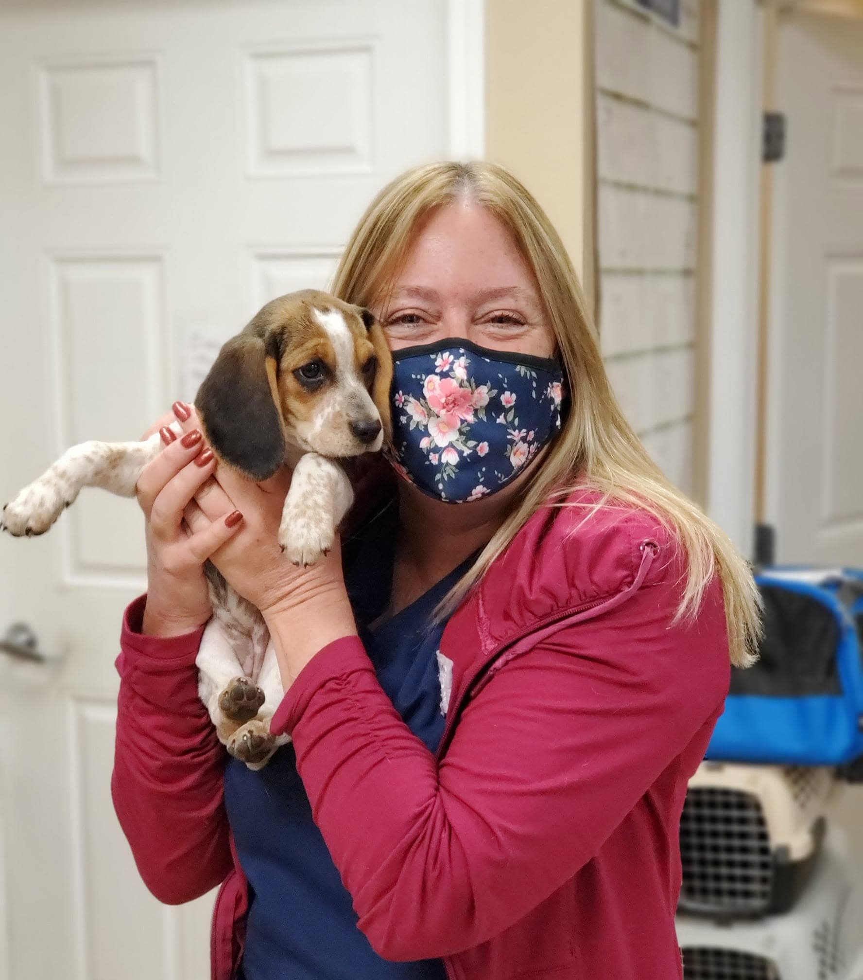Beagle-mix puppy hugged close by a smiling staff member