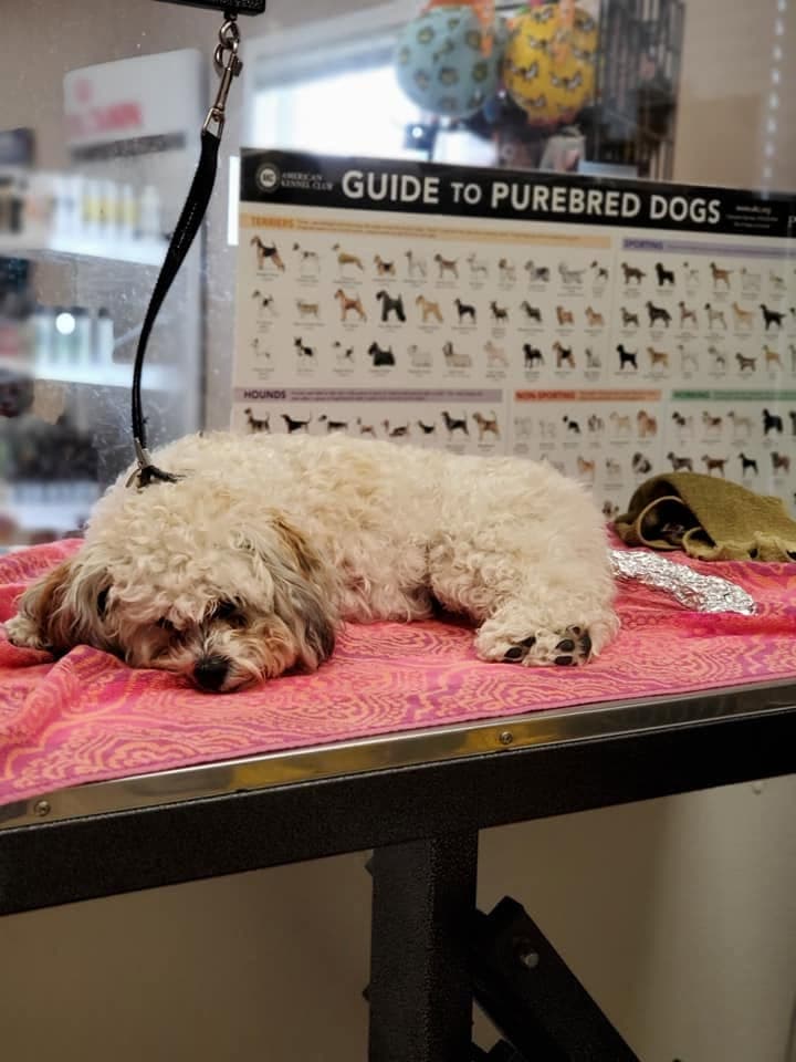 Spa day ending the only way it should: a nap on the pink towel
