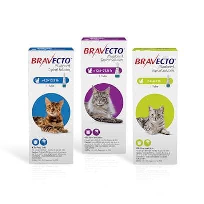 Bravecto topical for cats
