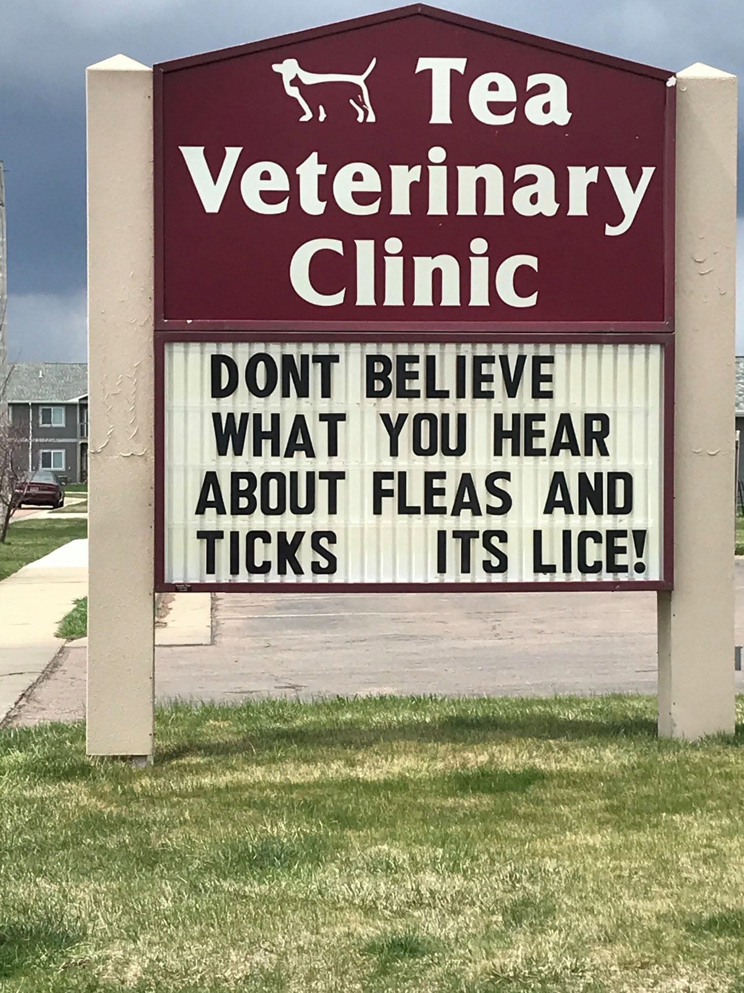 The board doing what the board does: DONT BELIEVE WHAT YOU HEAR ABOUT FLEAS AND TICKS ITS LICE!