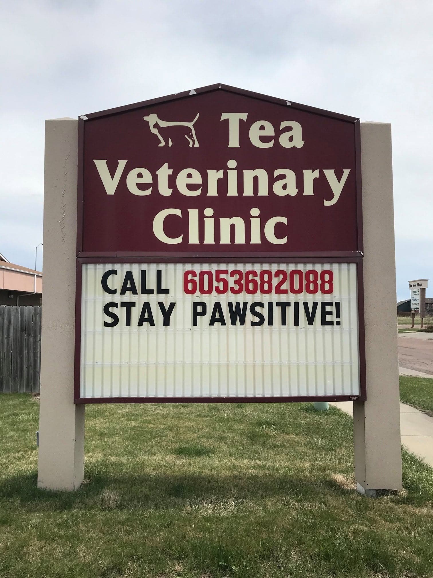 CALL 6053682088. STAY PAWSITIVE!